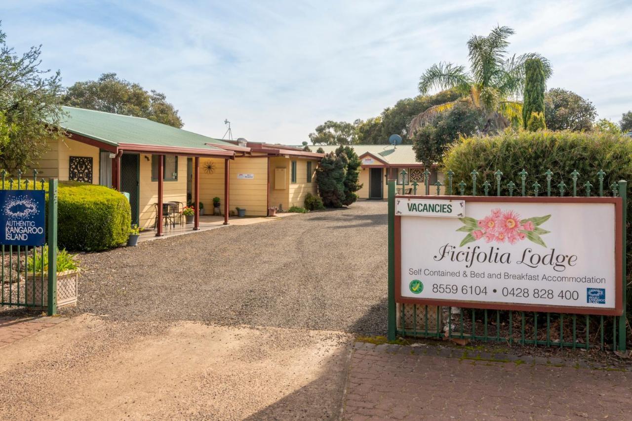 Ficifolia Lodge Parndana Екстериор снимка