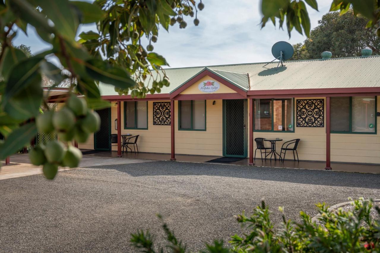 Ficifolia Lodge Parndana Екстериор снимка