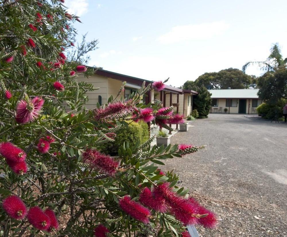 Ficifolia Lodge Parndana Екстериор снимка